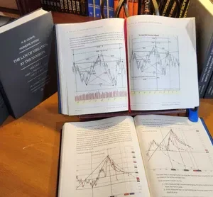 Dr. Lorrie V. Bennett – The Law of Vibration by The Numbers (Volume 2)